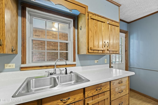 kitchen featuring crown molding, sink, a textured ceiling, and light hardwood / wood-style flooring