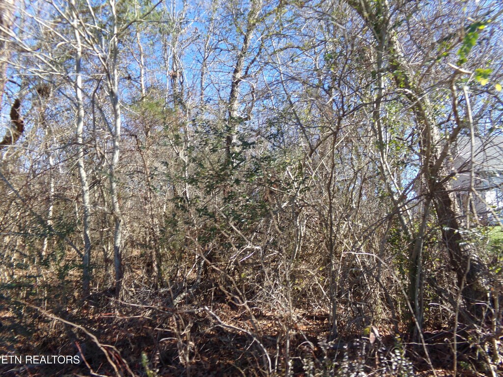 1037 Goti Dr, Crossville, TN 38572 - photo 2