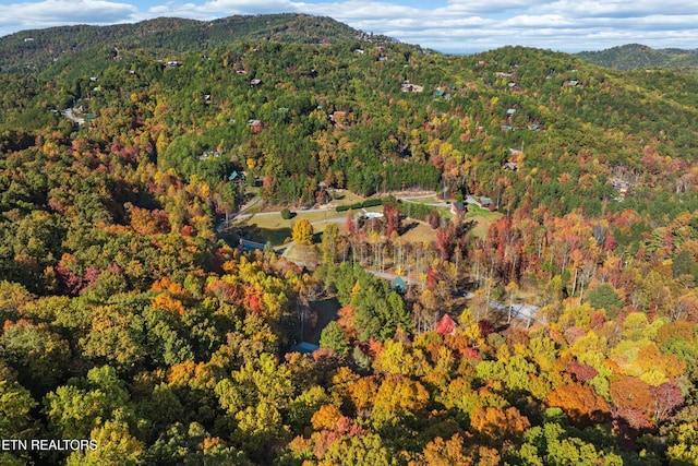 drone / aerial view featuring a mountain view