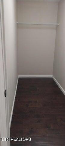 spacious closet featuring dark wood-type flooring