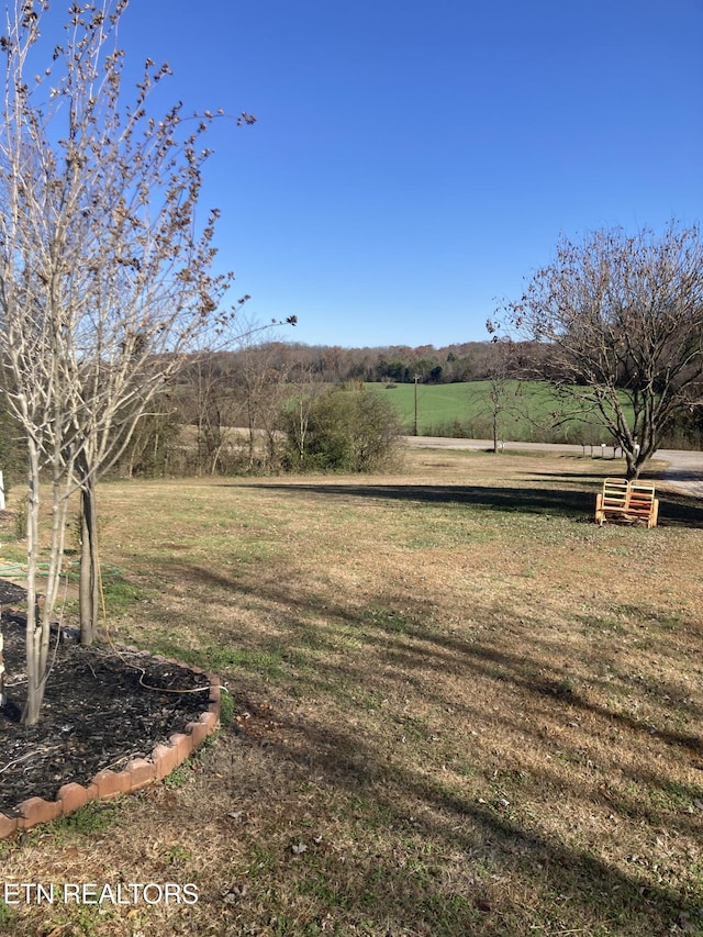 view of yard with a rural view