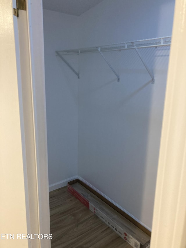 walk in closet with wood-type flooring