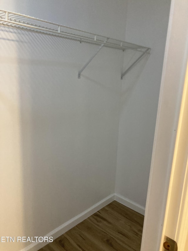 spacious closet featuring wood-type flooring