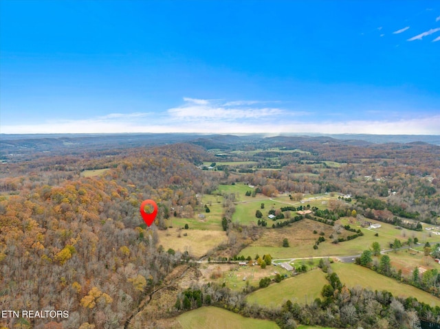 bird's eye view