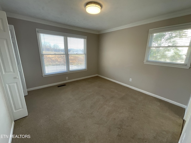 empty room featuring carpet floors and crown molding