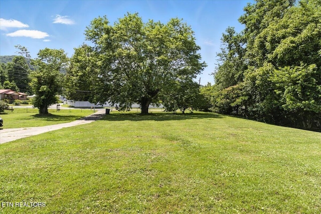 505 S S 38th St, Middlesboro, KY 40965 - view of grassy yard