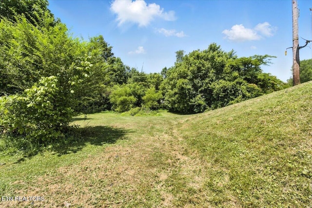 505 S S 38th St, Middlesboro, KY 40965 - view of green lawn