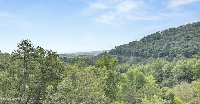 view of mountain feature