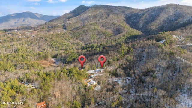 property view of mountains