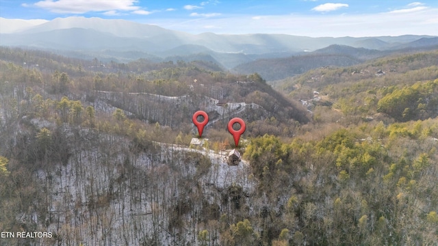 bird's eye view with a mountain view