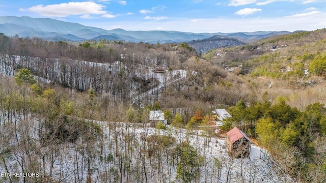 drone / aerial view with a mountain view