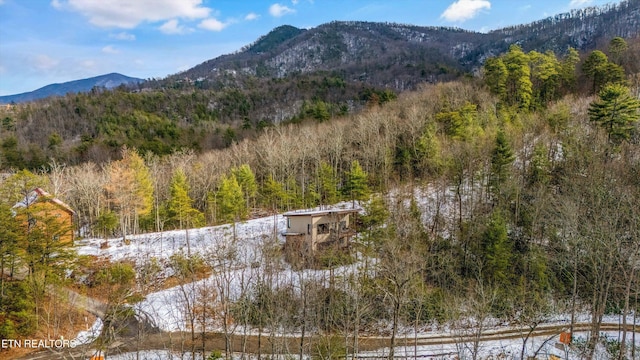 property view of mountains