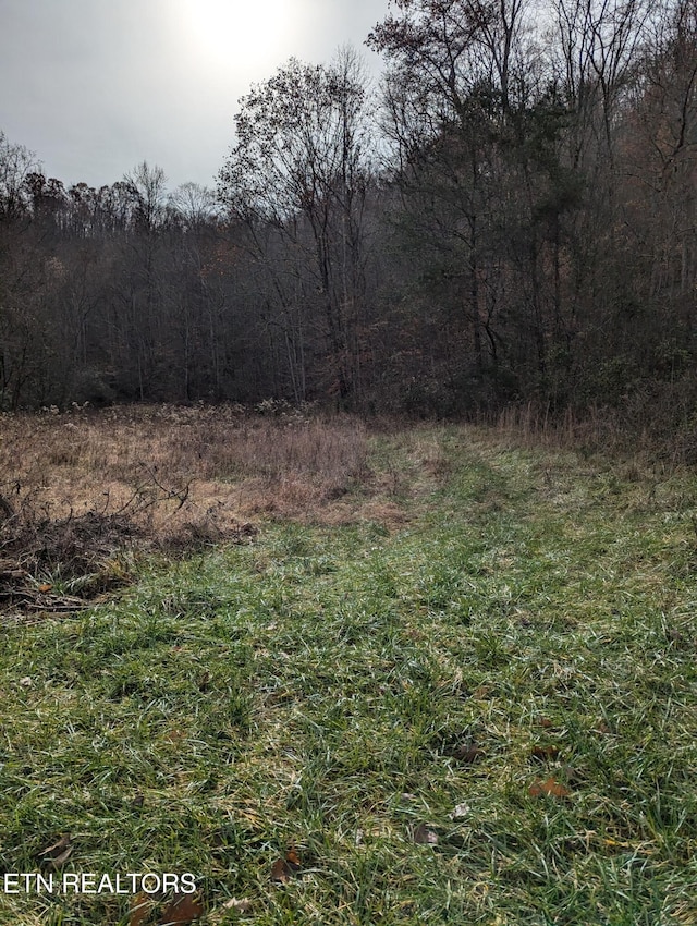 Owens Ln, Rutledge TN, 37861 land for sale