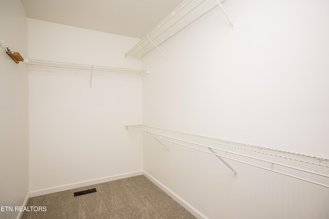 spacious closet featuring carpet