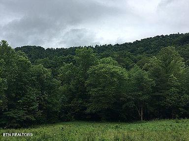 Stanley Creek Rd, Oneida TN, 37841 land for sale