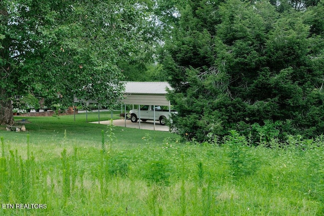 view of yard with a carport