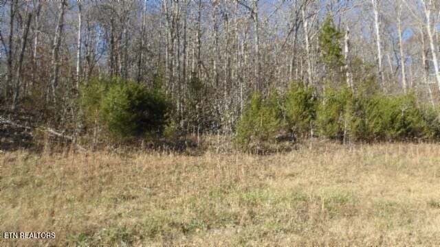 LOT46 Cheyenne Dr, Jamestown TN, 38556 land for sale