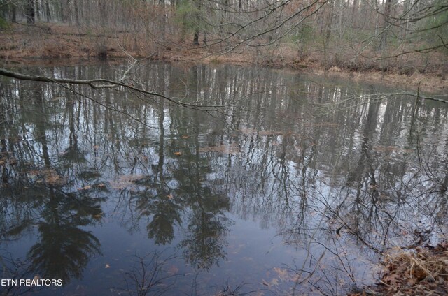 Sparta Hwy Unit 31.64, Acres, Crossville, TN 38555 - photo 7