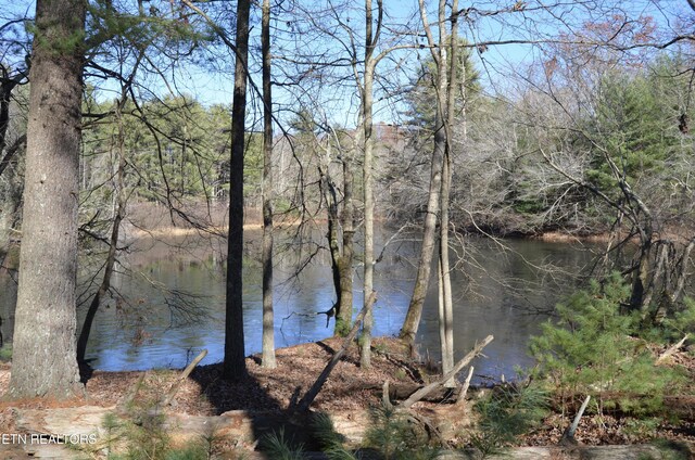 Sparta Hwy Unit 31.64, Acres, Crossville, TN 38555 - photo 4