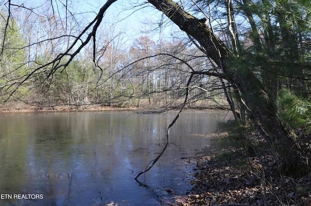 Sparta Hwy Unit 31.64, Acres, Crossville, TN 38555 - photo 2