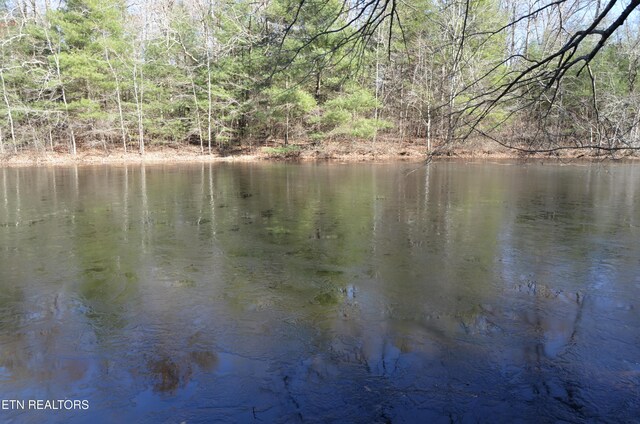 Sparta Hwy Unit 31.64, Acres, Crossville, TN 38555 - photo 3