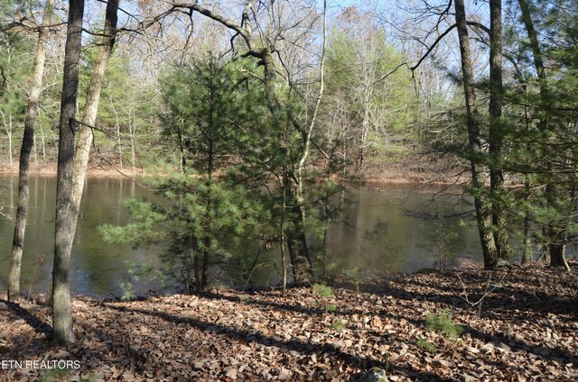 Sparta Hwy Unit 31.64, Acres, Crossville, TN 38555 - photo 21