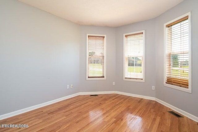 unfurnished room with light hardwood / wood-style flooring and a healthy amount of sunlight