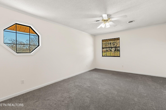 spare room featuring carpet flooring, a textured ceiling, ceiling fan, and plenty of natural light