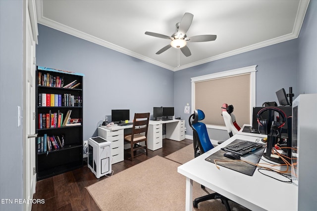 office featuring ceiling fan, dark hardwood / wood-style flooring, and ornamental molding