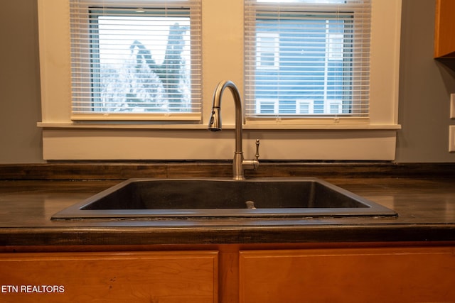 interior details featuring sink