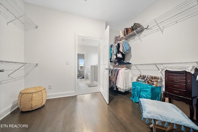 spacious closet featuring hardwood / wood-style flooring