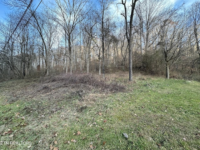 Sulphur Springs Rd, Jonesville, VA 24263 - photo 1