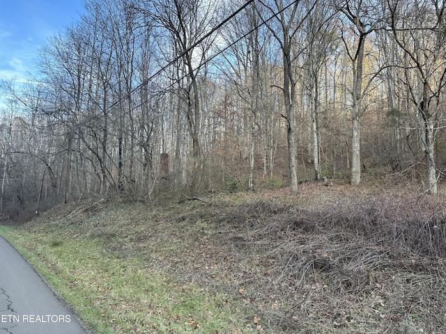 Sulphur Springs Rd, Jonesville, VA 24263 - photo 2