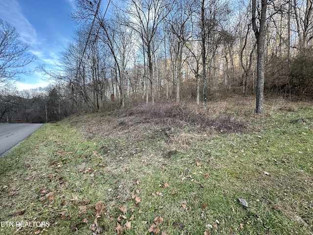 Sulphur Springs Rd, Jonesville, VA 24263 - photo 3