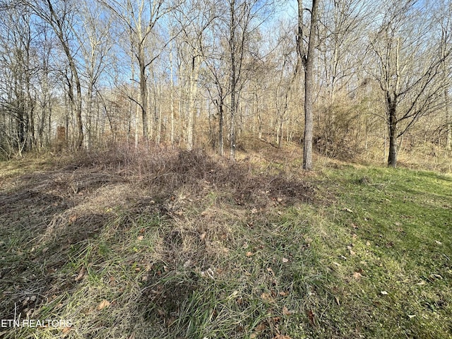 Sulphur Springs Rd, Jonesville, VA 24263 - photo 4