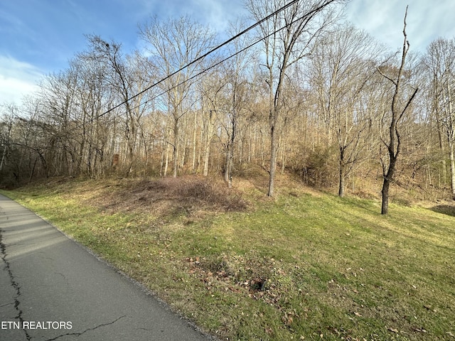 Sulphur Springs Rd, Jonesville, VA 24263 - photo 5