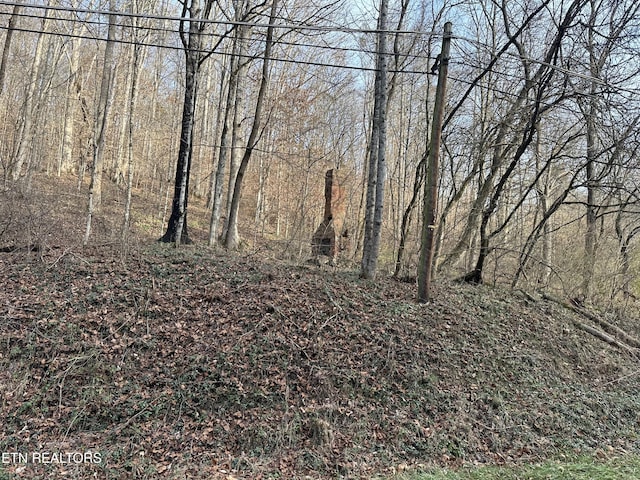 Sulphur Springs Rd, Jonesville, VA 24263 - photo 6