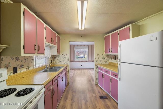 kitchen featuring sink, wood-type flooring, and white appliances