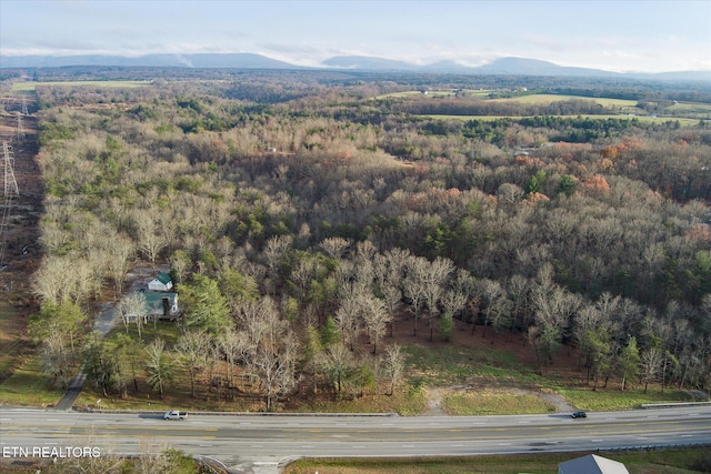 bird's eye view featuring a mountain view