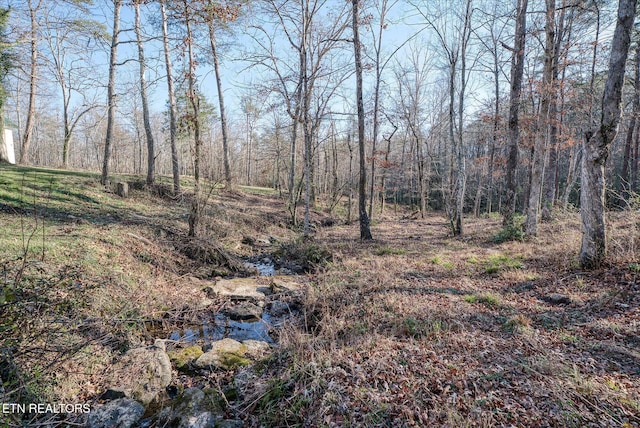 view of local wilderness