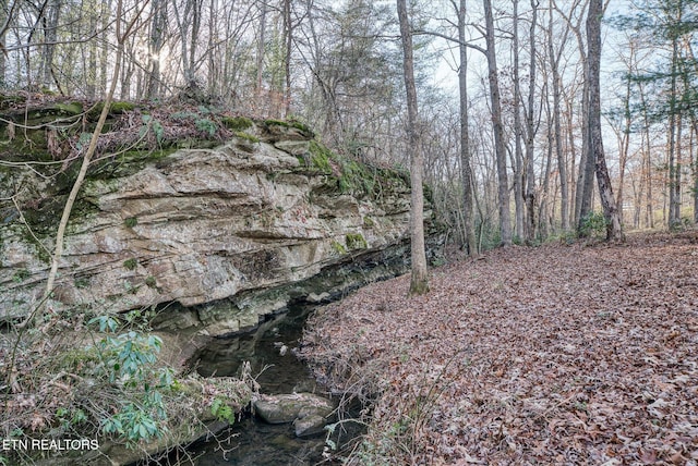 view of landscape