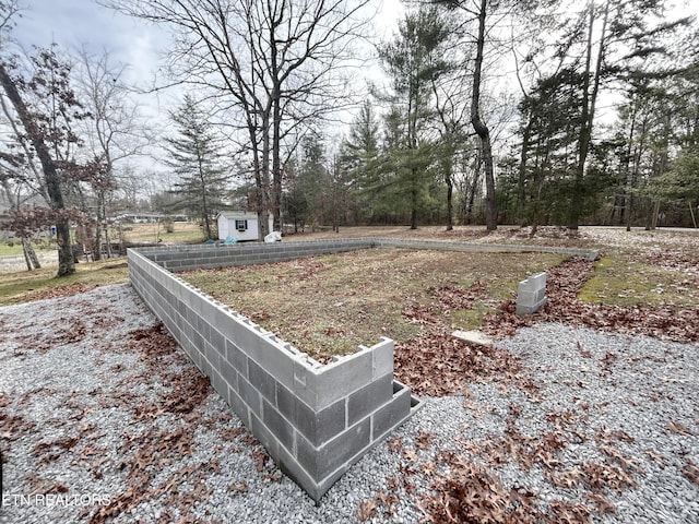 view of yard with a shed