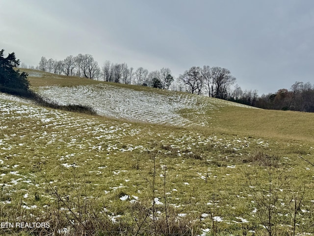 view of landscape featuring a rural view