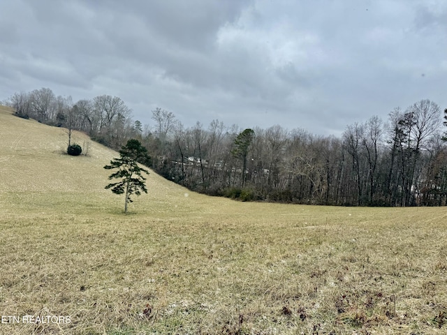 view of yard featuring a rural view