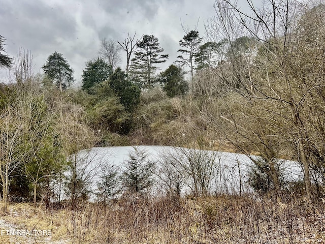 view of local wilderness with a water view