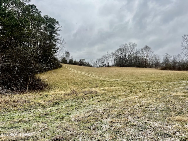 view of local wilderness featuring a rural view