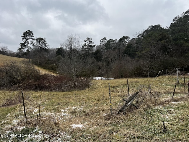 view of yard with a rural view