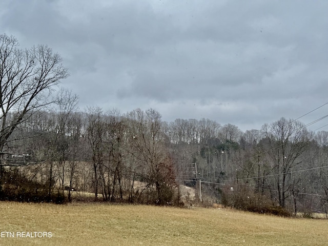 view of local wilderness