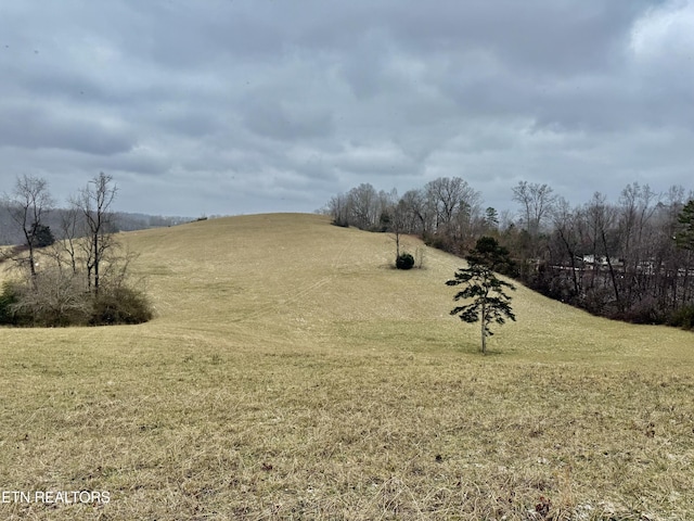 view of yard featuring a rural view