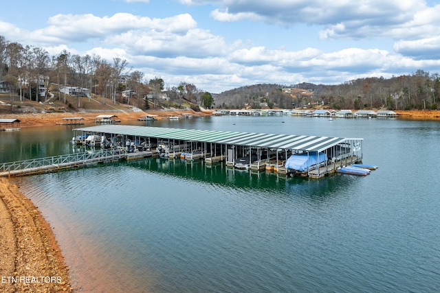 dock area featuring a water view